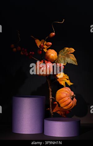 Two purple podiums with pumpkins berries and autumn foliage on dark background for Halloween Thanksgiving product display Stock Photo