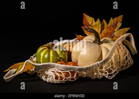 Close view of green and white pumpkins in mesh bag with autumn leaves for Thanksgiving harvest food or market display Stock Photo