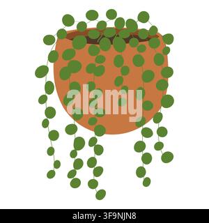 String of pearls succulent with long trailing stems covered in small round green leaves, growing from a terracotta pot. Flat vector illustration for b Stock Vector