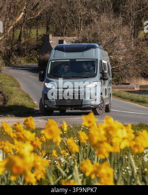 View of a grey camper van driving along a rural road in spring, with vibrant yellow daffodils in the foreground and two people inside the vehicle, Nor Stock Photo