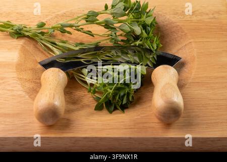 Basil on a cutting board waiting to be chopped with a roundet blade to turn into fresh organic pesto, italian cooking and taste. Stock Photo