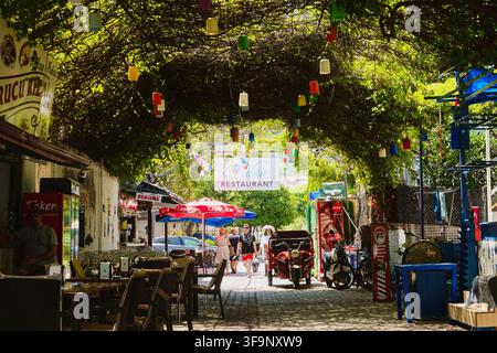 People walking on cozy street under green vine canopy with colourful hanging lanterns towards Fidan Restaurant in Turunc, Mugla, Turkey. Stock Photo