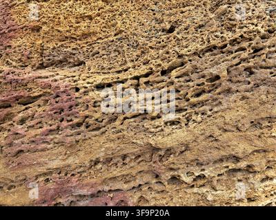 A macro close-up of a natural porous limestone surface with a rugged, weathered texture. The organic pattern showcases earthy ochre and brown tones Stock Photo