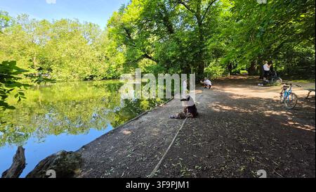 Woman sitting on the bank of a quiet pond photographing nature while people relax in a lush green park on a sunny day Stock Photo
