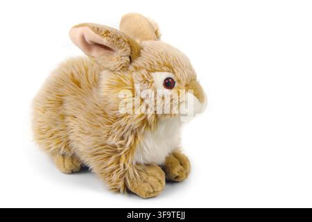 Plush rabbit toy isolated on white background. Soft stuffed animal for children. Concept of childhood, play and Easter gift. Stock Photo