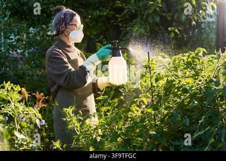 Senior Woman Wearing Mask Spraying Fertilizer on Plants in Garden Stock Photo