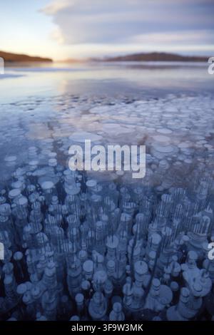 Natural ice background. Baikal ice, pure blue ice with methane bubbles. Vertical orientation Stock Photo