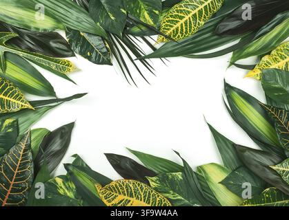 Assortment of fresh tropical leaves on white background. Summer concept with leaves pattern. Flat lay with copy space Stock Photo
