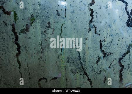 An abstract blue green texture with dark organic lines and mottled surface detail, creating weathered mineral pattern suitable for background design a Stock Photo