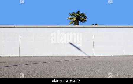 White painted concrete wall with a palm tree and sky on behind and street in front. Background for copy space. Stock Photo