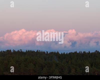 Aerial view of dramatic pink storm clouds front gathering over green coniferous forest during sunset light in Estonia nature reserve. Stock Photo