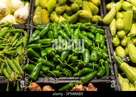 Fresh green jalapeno peppers displayed in supermarket produce section with organic vegetables, spicy ingredients for healthy cooking Stock Photo