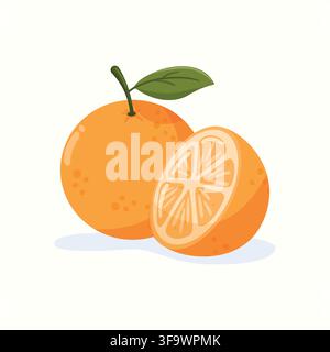 Whole and half orange fruit vector illustration. Organic citrus isolated fruit Stock Vector