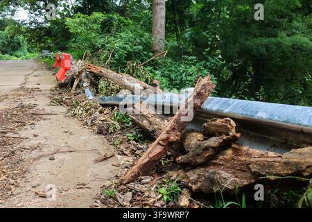 A storm damaged tree debris blocking concrete walkway beside metal guardrail in dense woodland Stock Photo