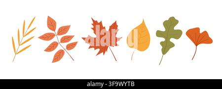 Set of six colorful autumn leaves in different shapes and shades on white background. Seasonal botanical illustration perfect for fall design, Stock Vector