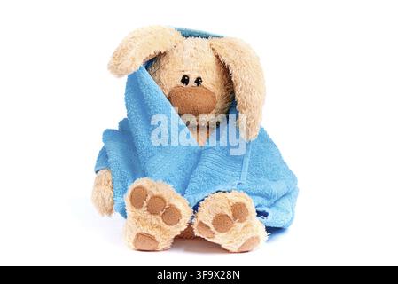 Stuffed rabbit in a blue towel on a white background Stock Photo