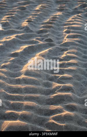 Rippled beach sand glows in golden sunlight Stock Photo