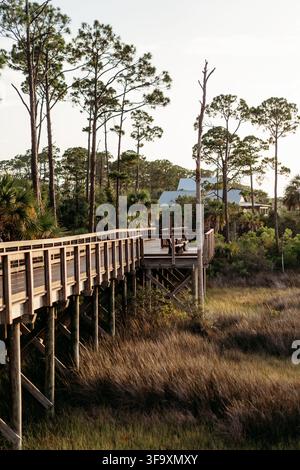 Wooden boardwalk through a coastal marsh at sunset Stock Photo