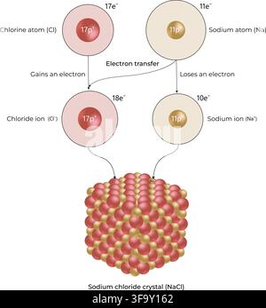 Electron Transfer Between Sodium and Chlorine Forming Sodium Chloride Crystal Stock Vector