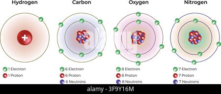 Atomic Structure of Hydrogen Carbon Oxygen and Nitrogen Showing Protons Neutrons and Electrons Stock Vector