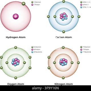 Atomic Structure of Hydrogen Carbon Oxygen and Nitrogen Showing Protons Neutrons and Electrons Stock Vector