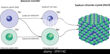 Electron Transfer Between Sodium and Chlorine Forming Sodium Chloride Crystal Stock Vector
