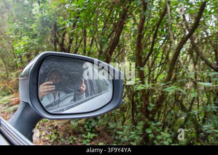 Woman photographer reflected in car side mirror while traveling through green forest Stock Photo