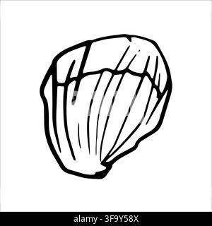 Various Seashells set. Different shapes. Outline modern sticker style.The drawing conveys a sense of the ocean and its inhabitants Stock Vector