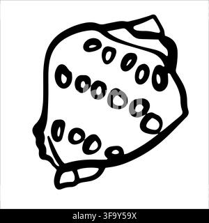 Various Seashells set. Different shapes. Outline modern sticker style.The drawing conveys a sense of the ocean and its inhabitants Stock Vector