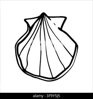 Various Seashells set. Different shapes. Outline modern sticker style.The drawing conveys a sense of the ocean and its inhabitants Stock Vector