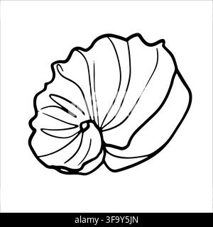 Various Seashells set. Different shapes. Outline modern sticker style.The drawing conveys a sense of the ocean and its inhabitants Stock Vector
