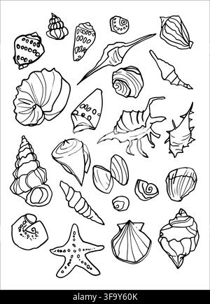 Seashells set Different shapes Outline sticker style drawing of the ocean and its inhabitants Stock Vector