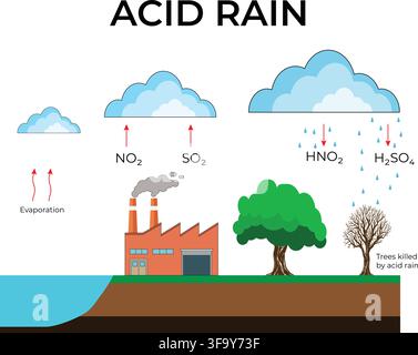 Acid Rain Formation Showing Industrial Pollution Sulfur Dioxide Nitrogen Oxides and Rainfall Stock Vector