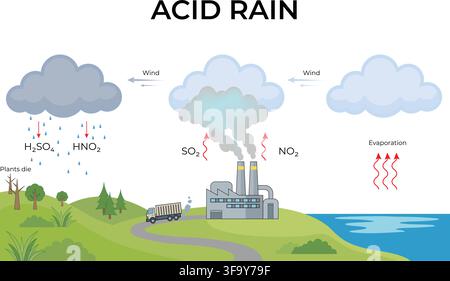 Acid Rain Formation Showing Industrial Pollution Sulfur Dioxide Nitrogen Oxides and Rainfall Stock Vector