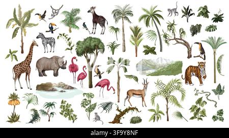Jungle Tropical Animals Isolated Collection with Safari Wildlife Botanical Elements for Mural Design Stock Vector
