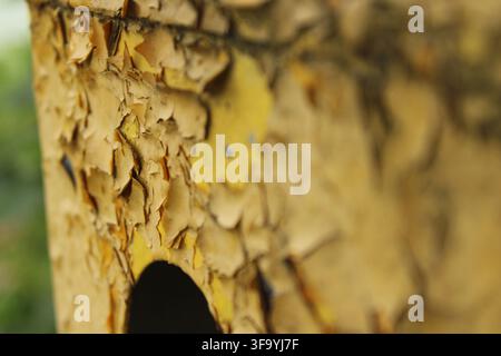 Edge view of peeling yellow paint and rust on metal equipment structure Stock Photo
