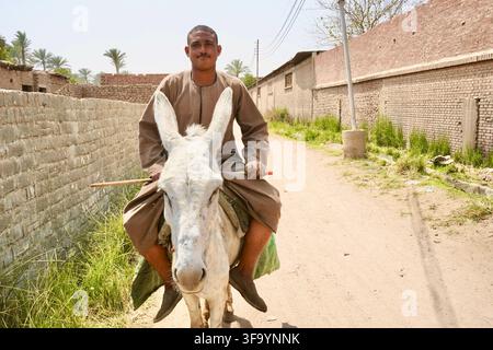 Young Egyptian man in traditional brown galabeya riding a white donkey along a rural dirt path in Saqqara Stock Photo