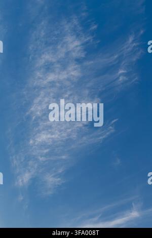 White cirrocumulus and cirrus fibratus clouds drifting in blue sky. Stock Photo