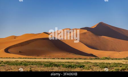 Tall Sand Dunes at Sossusvlei in the Namib Naukluft National Park, Namibia, Africa Stock Photo