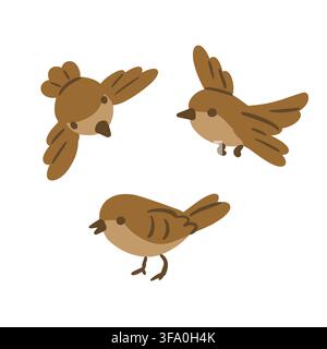 Three sparrows isolated on white background. Flat vector illustration of small birds in simple cartoon style for nature, wildlife, education, design, Stock Vector