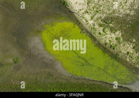 Aerial view of a dried riverbed with patches of green algae and exposed mud banks in Poland. Stock Photo