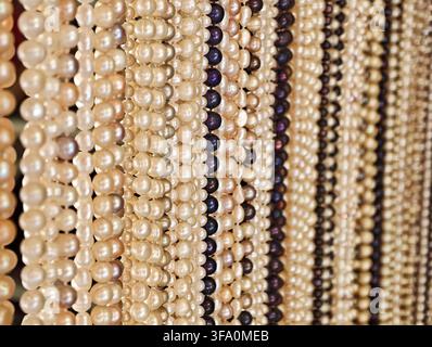 Rows of pearls and beads hang neatly. Colors range from cream to dark brown. Each strand displays uniform bead size. Close-up view highlights texture Stock Photo