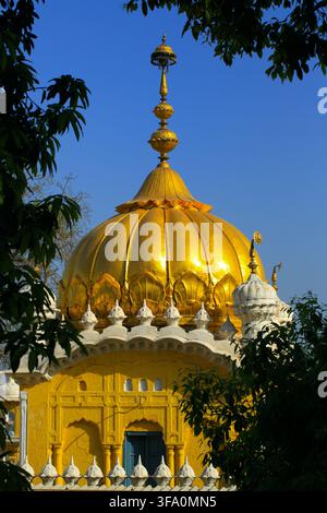 View of the golden dome of Gurdwara Dera Sahib framed by tree leaves against a clear blue sky in Lahore, Punjab, Pakistan. Stock Photo