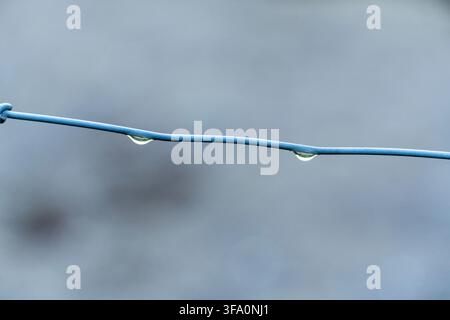 A wire is shown with a small droplet of water on it. The droplet is barely visible and is located towards the top of the wire Stock Photo