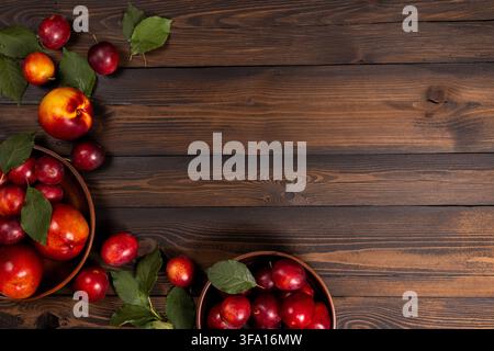 Freshly picked plums and nectarines, with vibrant green leaves, arranged in ceramic bowls and scattered on a dark rustic wooden background, creating a Stock Photo