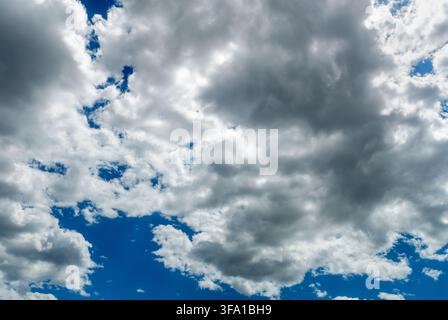 beautiful sky filled with fluffy white and dark dramatic cumulus clouds blocking the sun, creating high contrast with a vivid blue background. Stock Photo