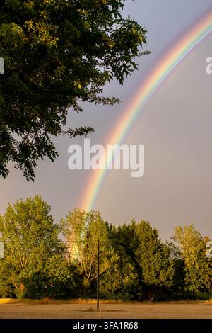 A bright, colorful rainbow arcs across a dark stormy sky above a line of green trees illuminated by late afternoon sun in Warwickshire. Stock Photo
