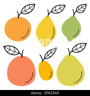 Citrus fruits doodles set. Orange, lemon, lime, grapefruit, pomelo, kumquat. Hand drawn sketch icon. Isolated vector illustration.  Stock Vector