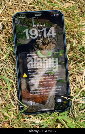 severe alert issued by the uk government to mobile phone laying on very dry grass warning of wildfire risk during drought united kingdom Stock Photo