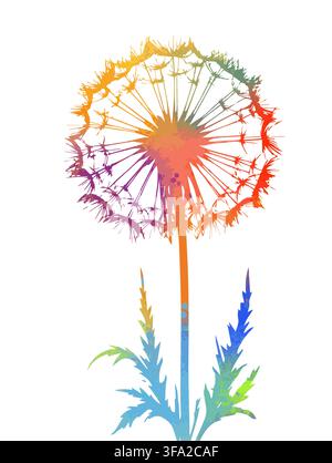 Dandelion colored. Hand drawn. Not AI, vector illustration. Stock Vector